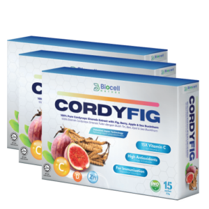 Cordyfig 3 Kotak – 150$